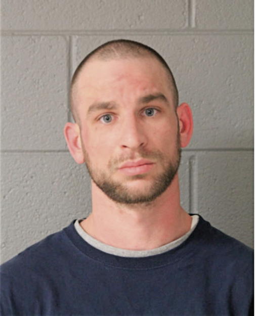 STEVEN C LUTHER, Cook County, Illinois