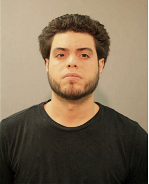 GEORGE E MALDONADO, Cook County, Illinois