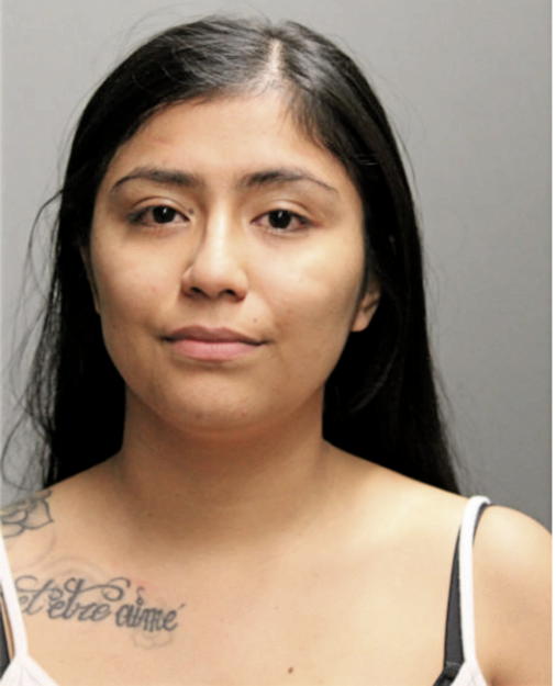 KARLA Y MERINO, Cook County, Illinois
