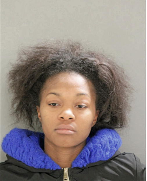BRIANNA J NANGLE, Cook County, Illinois