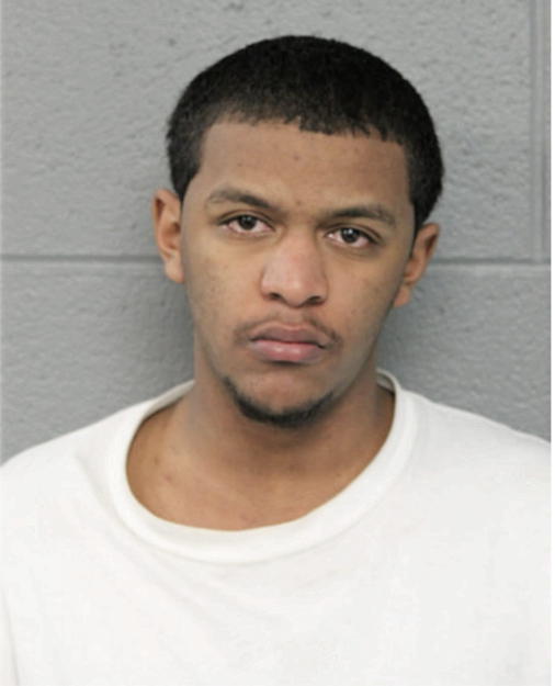 DAVID T NELSON, Cook County, Illinois
