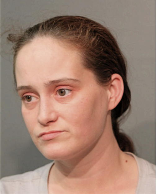 LISA OLSON, Cook County, Illinois