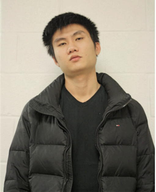 ANH V PHAN, Cook County, Illinois