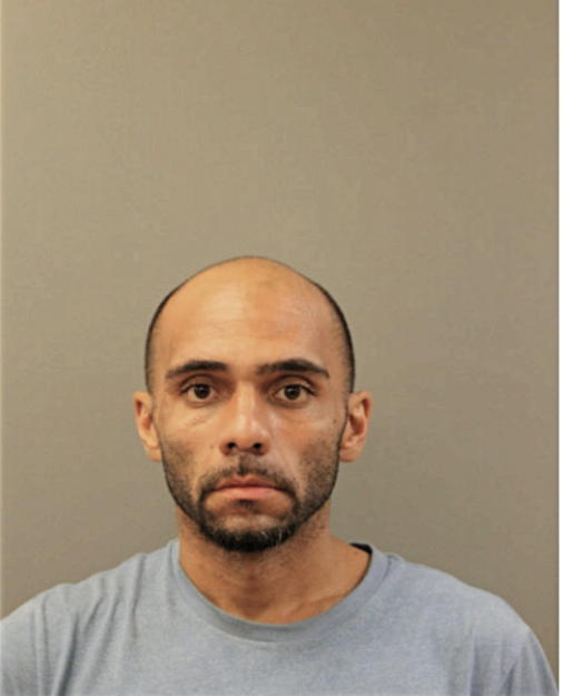 LUIS A VEGA, Cook County, Illinois