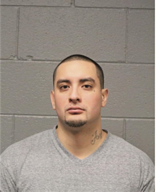 FRANCISCO J VILLAGOMEZ, Cook County, Illinois