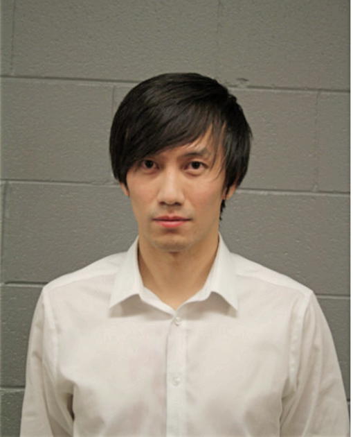 ZI WANG, Cook County, Illinois