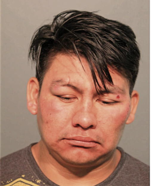 CARLOS ALVARADO, Cook County, Illinois