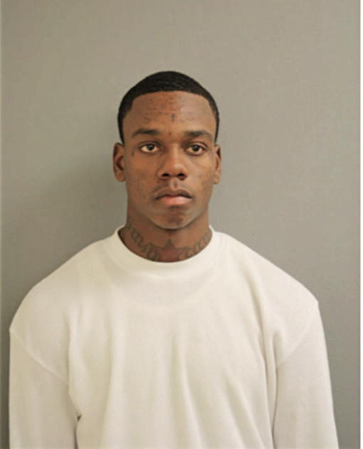 LADELL H ARNOLD, Cook County, Illinois