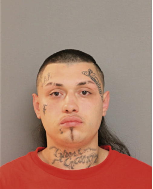 CARLOS D ARREDONDO, Cook County, Illinois