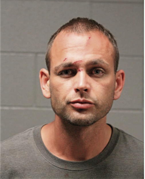 PATRICK FRANCIS DOYLE, Cook County, Illinois