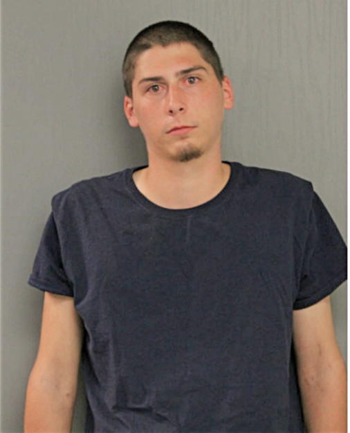 AIDAN ELLISON, Cook County, Illinois