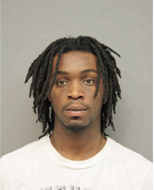 ARIEUS L FITCH, Cook County, Illinois