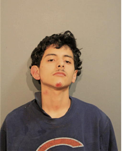 CESAR GARCIA, Cook County, Illinois