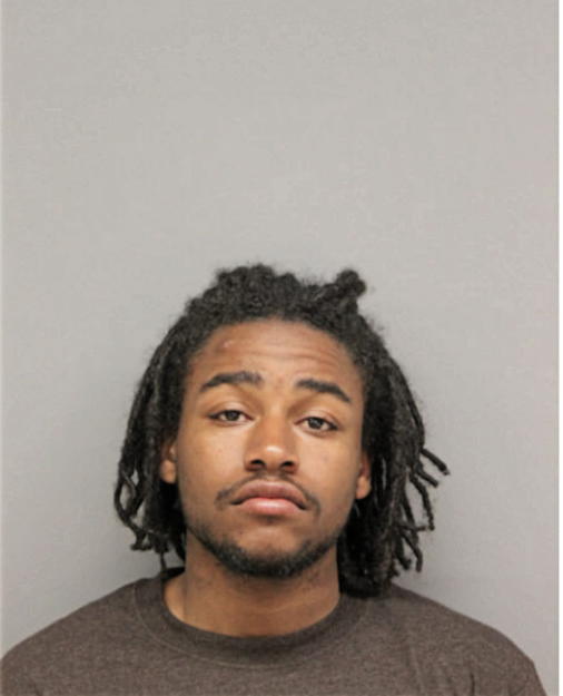 NELSON M HUMES, Cook County, Illinois