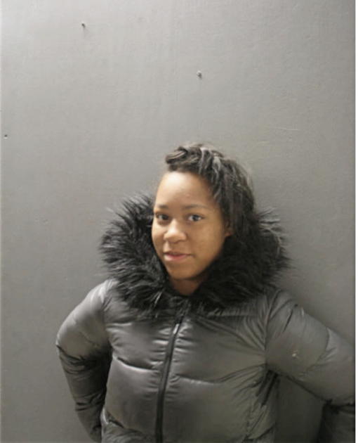 BRIANA R JOHNSON, Cook County, Illinois