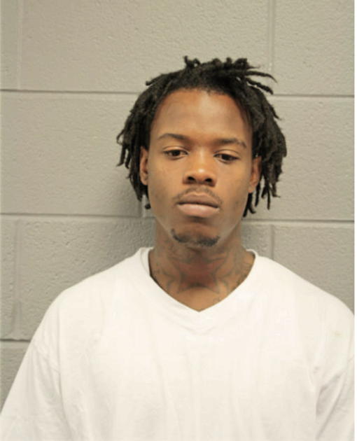 GEORGE J JOHNSON, Cook County, Illinois