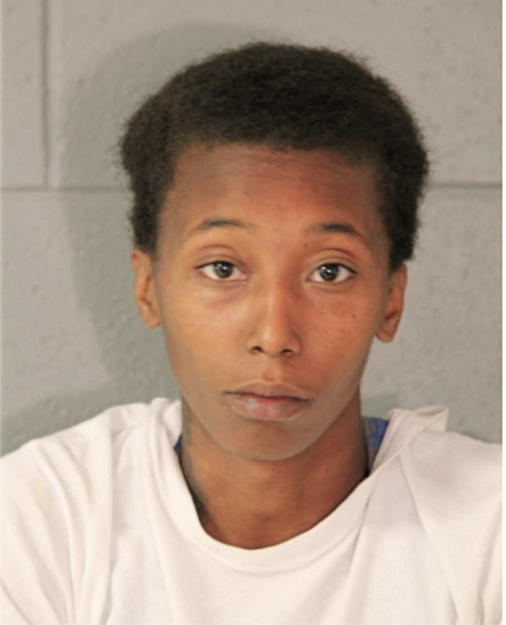VICTORIA L JONES, Cook County, Illinois