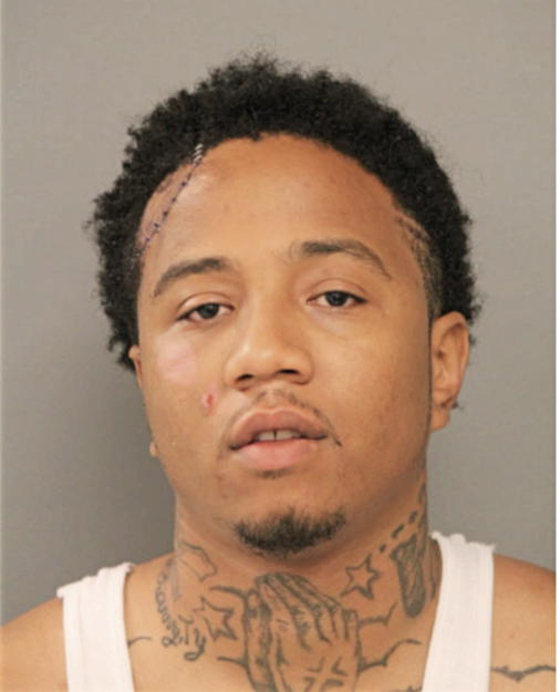 MICHAEL W LOVE, Cook County, Illinois