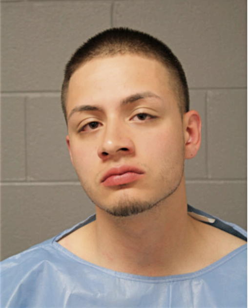 DAVID JACOB LOZANO, Cook County, Illinois