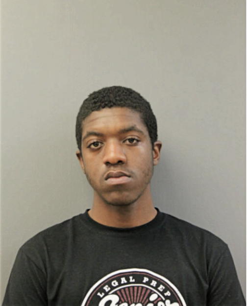 TYLER J MCABEE, Cook County, Illinois