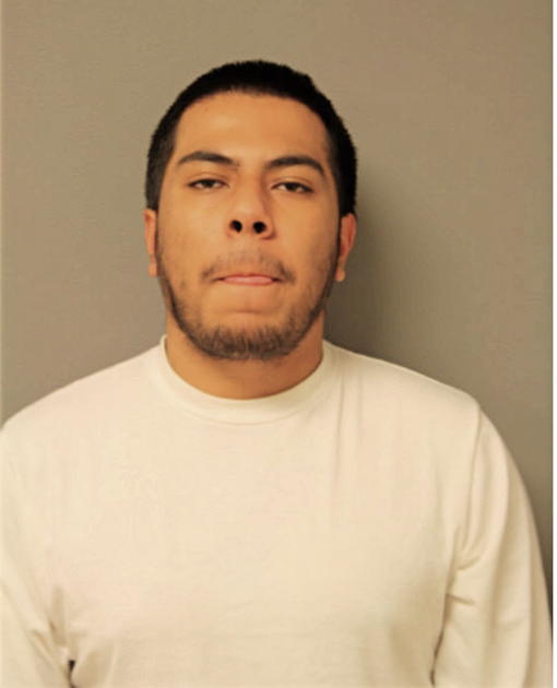 ARTEMIO MENDOZA, Cook County, Illinois