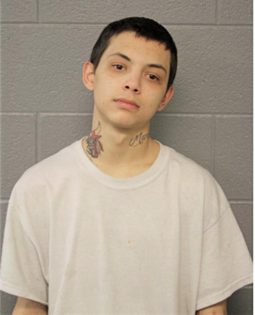 BRANDON NAPOLES, Cook County, Illinois