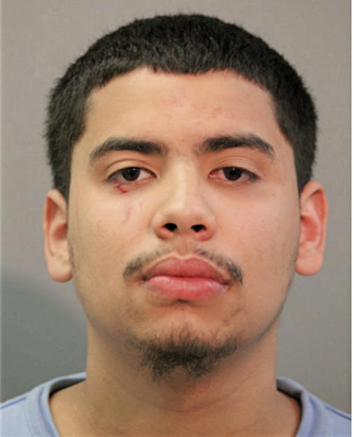 NATHANIEL ROMAN, Cook County, Illinois