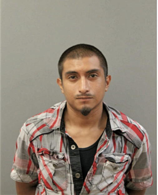 VICTOR MANUEL TRINIDAD-MIRANDA, Cook County, Illinois