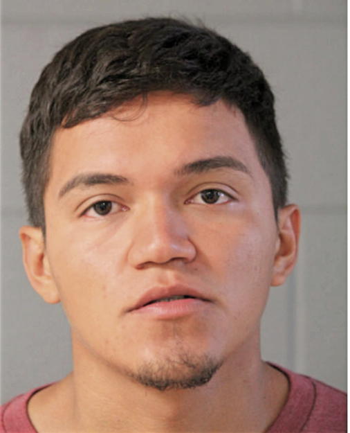 BRIHAM ALEXIS VALLE, Cook County, Illinois