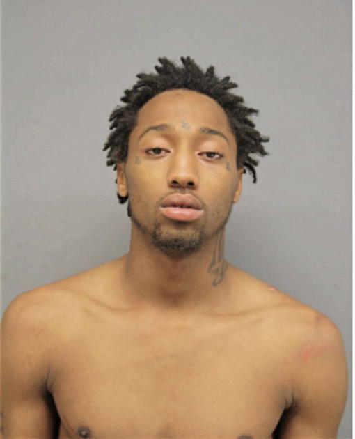 DEVIN J WARNICK, Cook County, Illinois