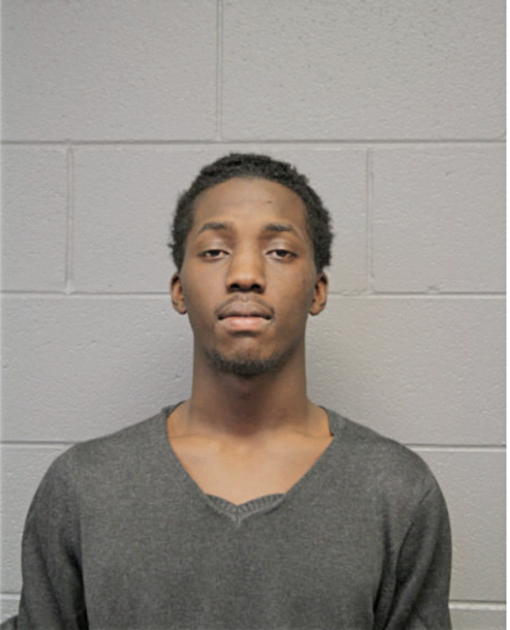 ROBERT A WATSON, Cook County, Illinois