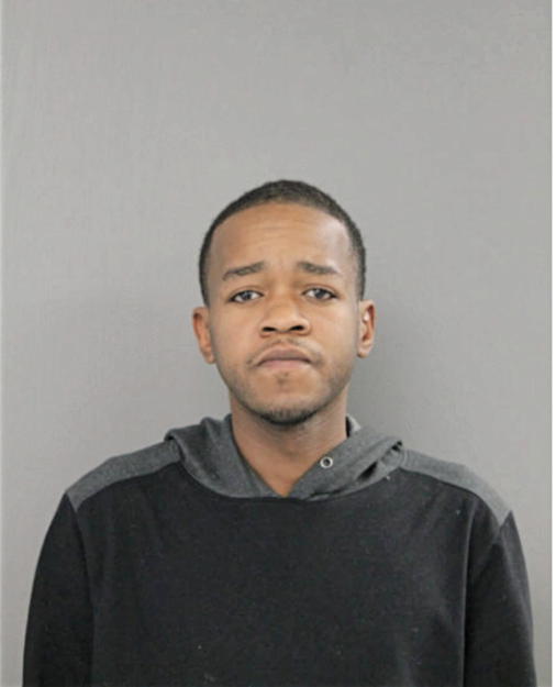 MICHAEL C WRIGHT, Cook County, Illinois