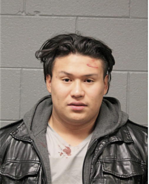 GERALD A ALBAN ALAVA, Cook County, Illinois