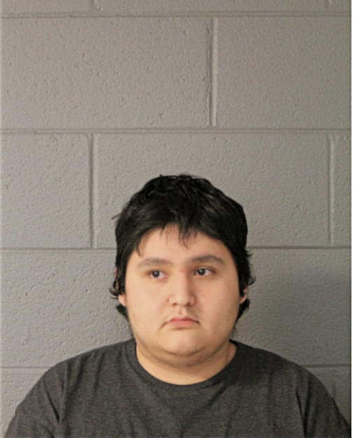 ALVARO S ALMARAZ, Cook County, Illinois