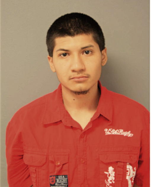 DAVID CARRILLO ARIAS, Cook County, Illinois