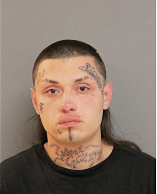 CARLOS D ARRENDONDO, Cook County, Illinois