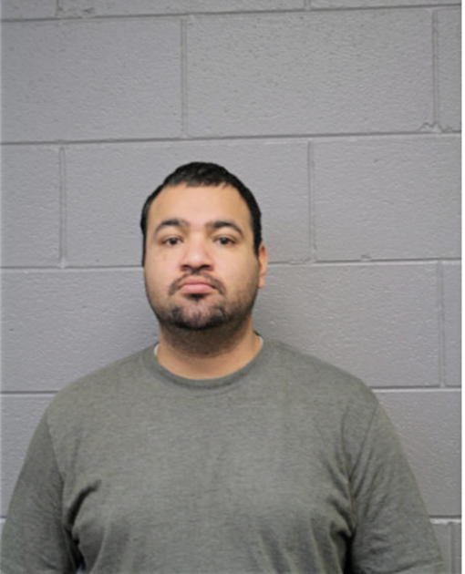 DAVID A BARAJAS-AREVALO, Cook County, Illinois
