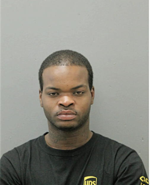 DERRICK L BITTMAN, Cook County, Illinois
