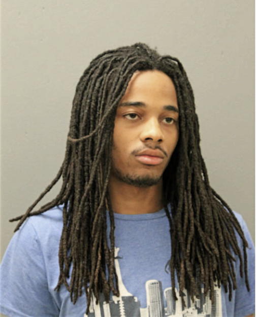 REGINALD D BIVINS, Cook County, Illinois