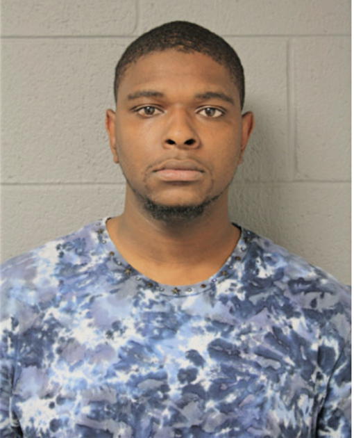 STEVEN E BRADLEY, Cook County, Illinois