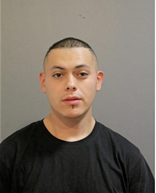 MIGUEL CABRALES, Cook County, Illinois