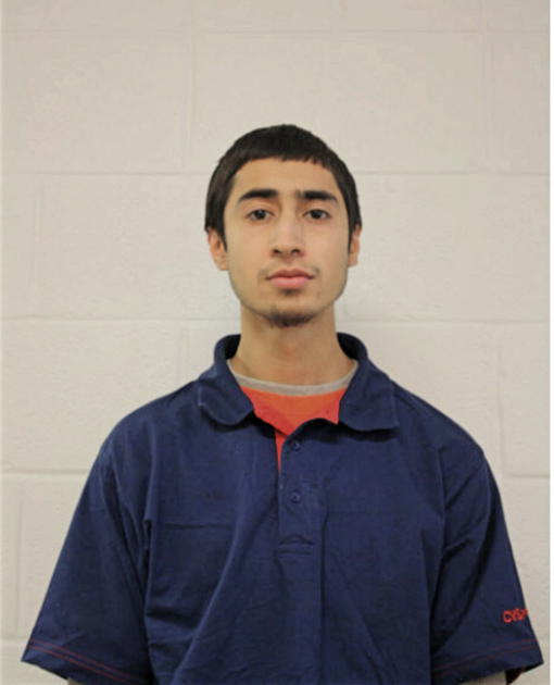 DIEGO A COBIAN, Cook County, Illinois