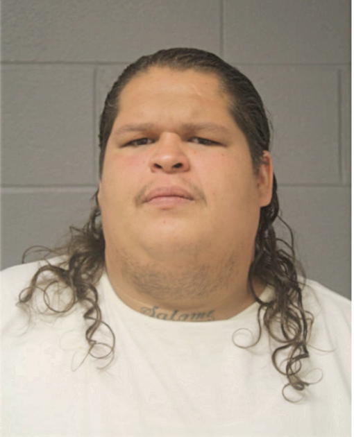 CHRISTOPHER J CRUZ, Cook County, Illinois