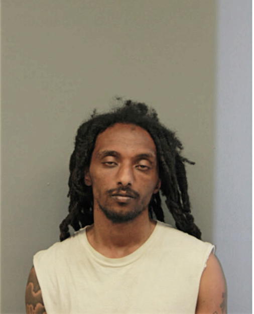 SAMUEL ENDALKAHEW, Cook County, Illinois