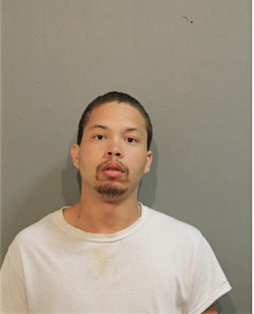 RYAN C EVERSON, Cook County, Illinois