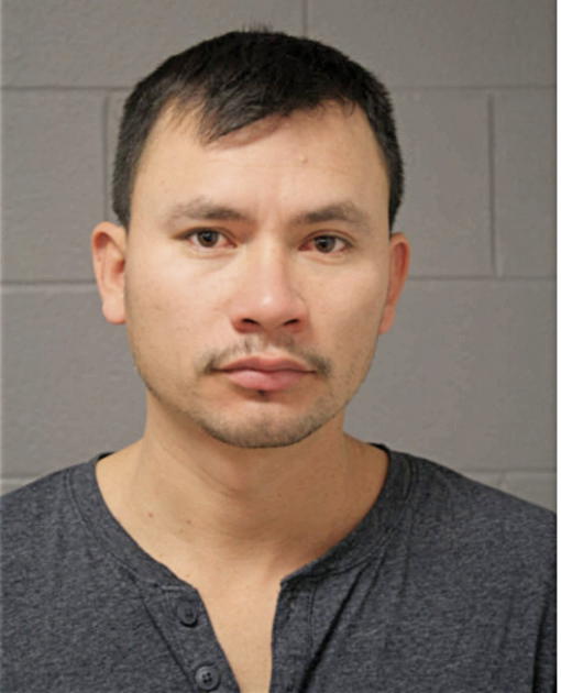 HOMERO L GARCIA, Cook County, Illinois