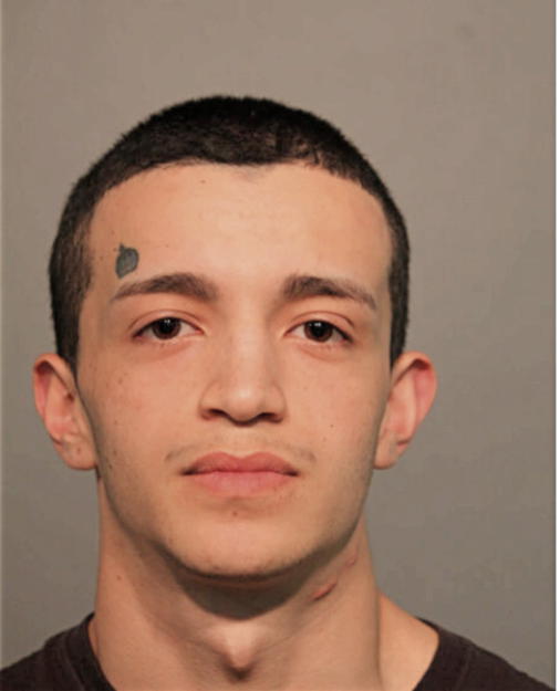 MANUEL F GONZALEZ, Cook County, Illinois