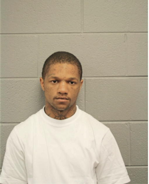 NORMAN C HICKS, Cook County, Illinois