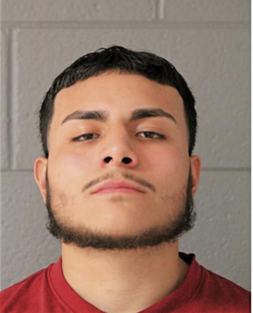 RODOLFO IRIGOYEN, Cook County, Illinois