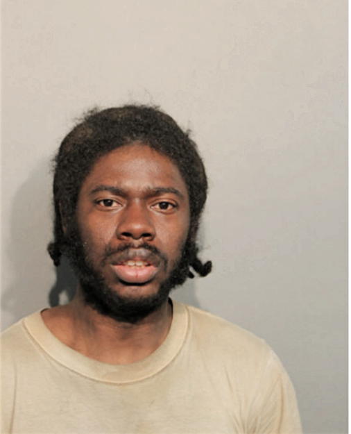CHRISTOPHER T LITTLE, Cook County, Illinois
